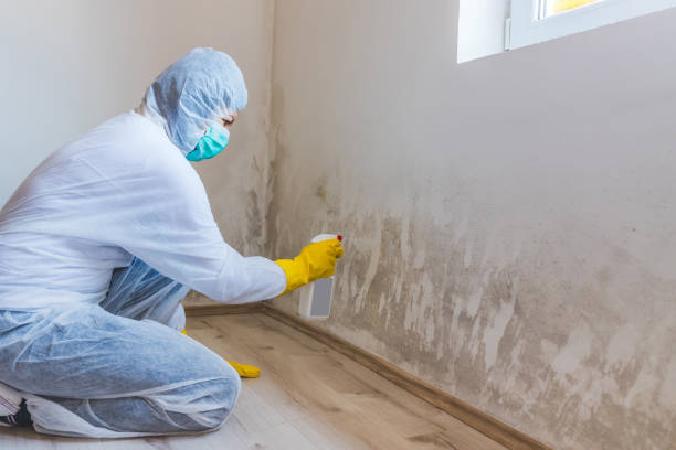 Commercial Mold Remediation assessment for commercial property in Medinah