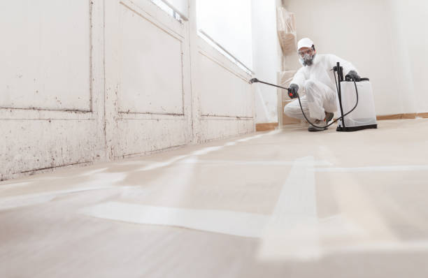 Post-remediation clearance in Medinah